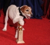 El perro Uggi posa con el Globo de Oro a Mejor Película por El artista